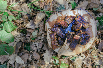 Food prepared for cooking over campfire on forest
