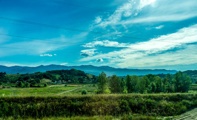 Italy, Rome to Florence train, a flock of sheep grazing on a lush green field