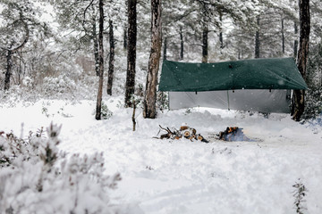Primitive Survival A Frame Debris Shelter in the cold winter snow.