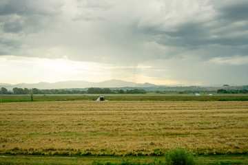 Italy, Rome to Florence train, a group of clouds in the sky over a green field