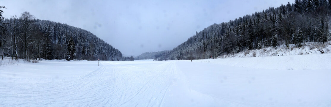 Winter leupe