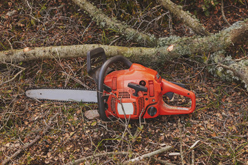 Electrical chainsaw in the forest.