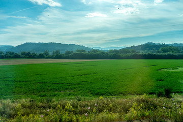 Italy, Rome to Florence train, a large green field with a mountain in the background