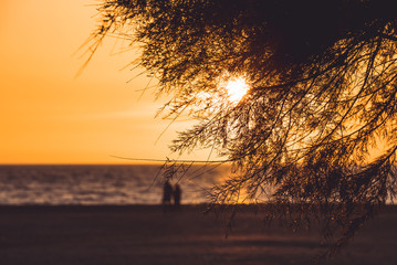 silhouette of couple walking on the beach on orange sunset background, almerimar, almeria, spain