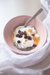 Healthy breakfast yogurt with cranberries, ginger, chia seeds and honey