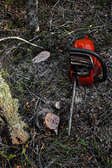 Electrical chainsaw in the forest.