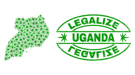 Vector cannabis Uganda map mosaic and grunge textured Legalize stamp seal. Concept with green weed leaves. Concept for cannabis legalize campaign. Vector Uganda map is formed with cannabis leaves.