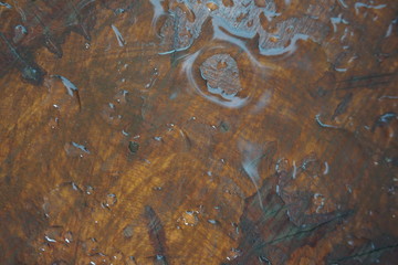 wet wood texture