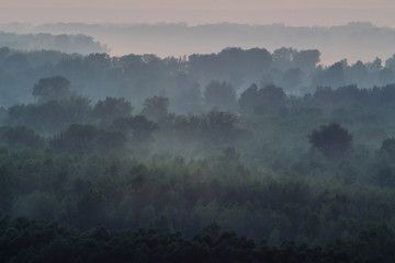 Naklejka premium Mystical view from top on forest under haze at early morning. Mist among layers from tree silhouettes in taiga under warm predawn sky. Morning atmospheric minimalistic landscape of majestic nature.