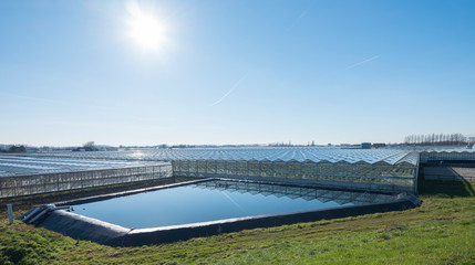 landscape in the netherlands with greenhouses and blue sky near Zaltbommel in Noord-Brabant
