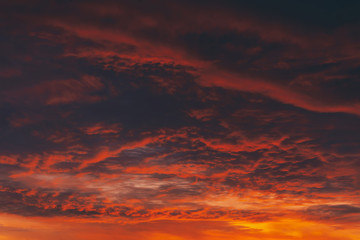 Fiery red blood vampire dawn. Amazing warm dramatic fire cloudy sky. Vivid orange sunlight. Atmospheric background of sunrise in overcast weather. Hard cloudiness. Storm clouds warning. Copy space.