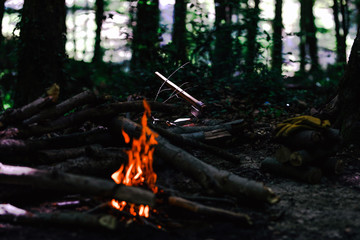 Campfire in the forest 