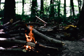 Campfire in the forest 