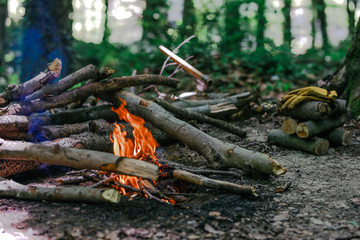 Campfire in the forest 