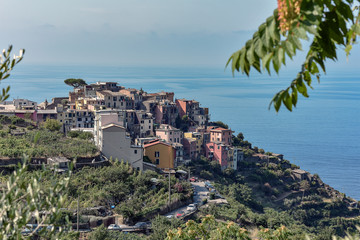Fototapeta na wymiar Corniiglia borgo delle Cinque Terre, Parco Nazionale