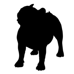 French Bulldog. Silhouette