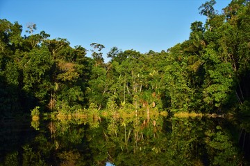 lake in the Amazonian rainforest