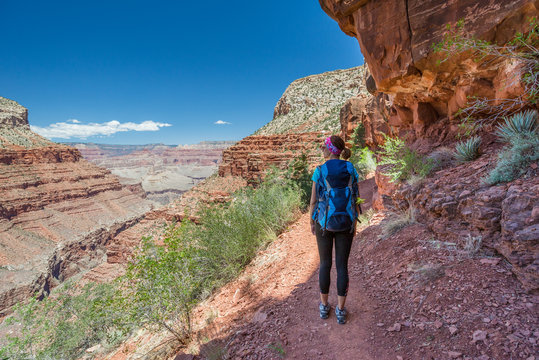 Hiker woman hiking in Grand Canyon. Healthy active lifestyle image of hiking young multiracial female hiker in Grand Canyon, Adventure and travel concept. Women hiking in USA national park.