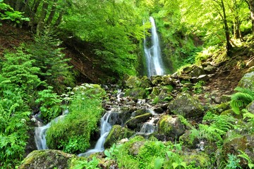 Beautiful waterfalls in France