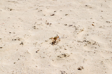 Marsa Alam