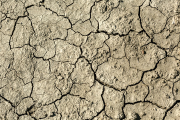 Barren soil