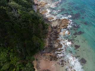 A drone photo of the new zealand coast with forest and ocean