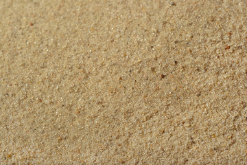 Beach sand texture