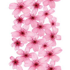 Watercolor seamless border  with pink cherry flowers.