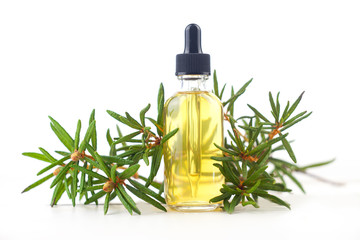 Labrador tea essential oil in  beautiful bottle on White background