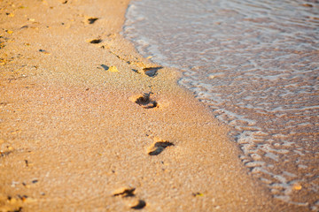 footprints in sand