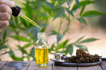 Hemp oil, Medical marijuana products including cannabis leaf, dried bud, cbd  and hash oil over...