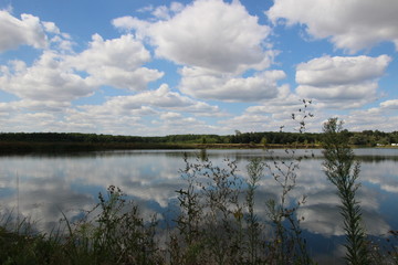 Summer Nature, Ostrozska Nova Ves, Czech republic, Europe