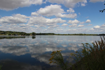 Summer Nature, Ostrozska Nova Ves, Czech republic, Europe