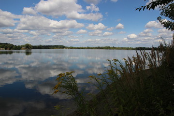 Summer Nature, Ostrozska Nova Ves, Czech republic, Europe