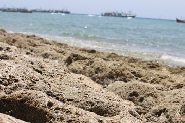 texture of sea coral on the island of Gili Ketapang