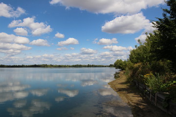 Summer Nature, Ostrozska Nova Ves, Czech republic, Europe