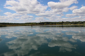 Summer Nature, Ostrozska Nova Ves, Czech republic, Europe