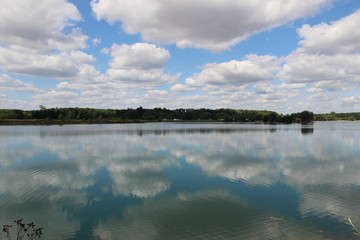 Summer Nature, Ostrozska Nova Ves, Czech republic, Europe