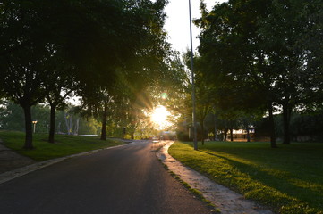 El sol protagonista