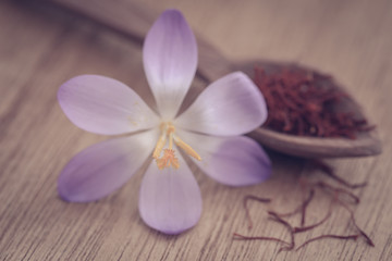 Fototapeta na wymiar Saffron with crocus flower