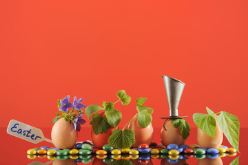 Five organic seedling plants in Easter eggs on red background. Eco gardening. Horizontal.