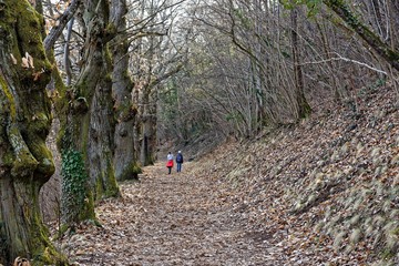 Chemin de randonnée , Auvergne