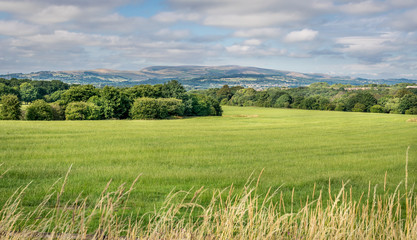 Fototapeta na wymiar Pendle hill with open fields and a forest. 