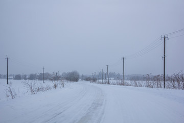 Winter landscape in cloudy weather. Snow picture. Trees in the snow.