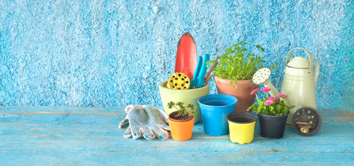 springtime gardening, young flowers,herbs, gardening utensils, free copy space © Thomas Bethge