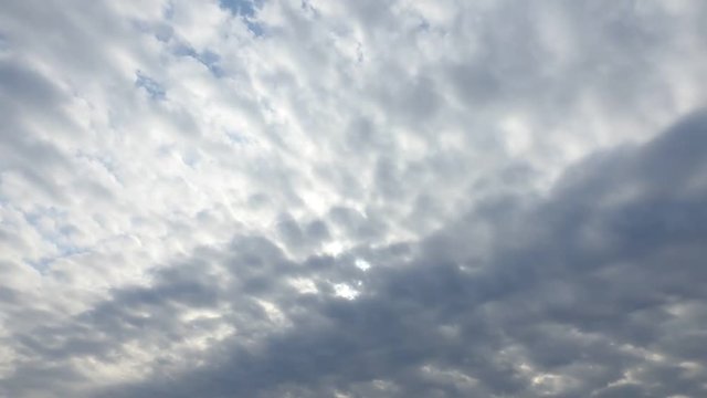 曇りです、鳥が横切ります。空のタイムラプス動画