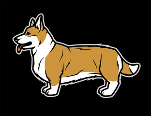 Welsh Corgi in profile on a dark background. Vector illustration.