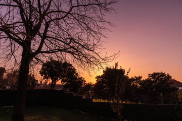 Fototapeta na wymiar Sunset over my backyard