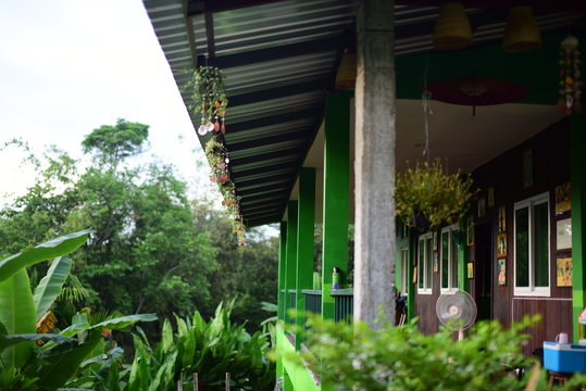 viwe of my home