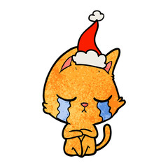 sad cat crying